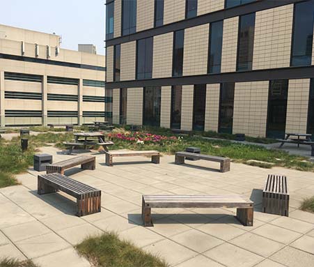Re-vitalizing Bow Valley College's South Campus Terrace